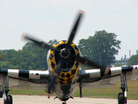 P-40 at Thunder over Michigan 07