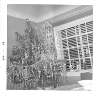Xmas tree Aug 1959