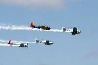 T-6s in formation