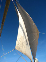 Blue sky and sails