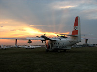 Albatross at sunset